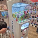 스타뽑기샵 이미지