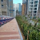 감일스윗시티아파트 이미지