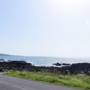 태신해안로 이미지