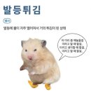 씨유 수원수정점 | [웨딩]본식스냅(3)-1. 수원 WI컨벤션 가성비 본식스냅 &#39;캐치아이웨딩&#39; 계약 솔직후기(짝꿍코드 2만원...