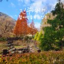 월아산 숲속의 진주 방문기 주차 풍경 우드랜드 산림레포츠 정보