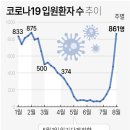 코로나19 입원환자 수 추이 이미지