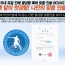 인솔인 이미지