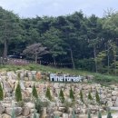 파인 관광농원 이미지