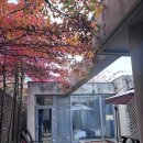 밸마운트펜션2 | 내돈내산 경기도 파주 독채 펜션 숙소 추천 &#34;알베로산토&#34; 야외 히노끼탕, 호텔급 바베큐&amp;조식 (마데이라)