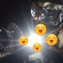햇빛바다관광펜션 | 태안 캠핑) 원산도 햇빛바다 관광 펜션