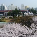 선정3리 이미지