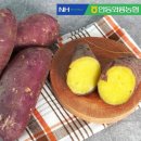 더조은푸드 이미지