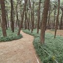 유정식당 이미지