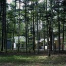 디자인소리 이미지