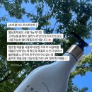 조군헤어