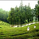 득량농협주유소 이미지