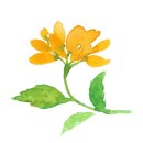 인리스튜디오 네이버블로그