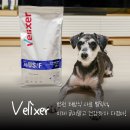 강아지 알러지 사료 벨릭서 알러케어로 바꿨어요!
