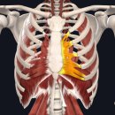움직임퍼스널트레이닝 이미지