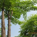 청평 윗삼거리 이미지