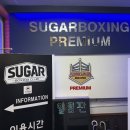 더 프리미엄 복싱 | [왕십리역 복싱] 초보자도 1:1 밀착 케어! 슈가 프리미엄 복싱 왕십리점 솔직 후기