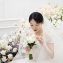 오브로즈(구 라포디움) 스타시티아트홀 본식 스냅 후기 추가 할인까지