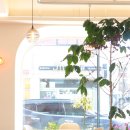 삐삐애견샵 | 익산 부송동 카페 새로 오픈한 감성 가득한 미자르