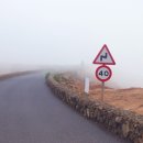 지성목장 이미지