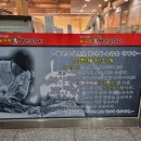 바로돼지 이미지