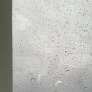 골목순두부 네이버블로그