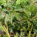 임실반디울농장 이미지