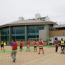 냉정초등학교 이미지