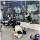 성일GYM 복싱센터 | 운정주짓수 운동 초보도 즐길 수 있는 차정환GYM 후기