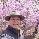 리프레쉬 이미지