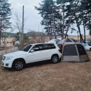 별그리다 민박 | (강릉 캠핑장) 소나무 숲에 별이 가득했던 in 숲 캠핑장