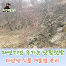 더드림팜 이미지