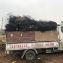 (주)태산환경 이미지