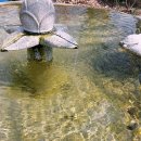 통도해운온천타운 이미지