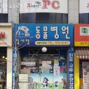 참사랑 동물병원 | 고양 중산동 동물병원 참사랑동물병원 위치 오는길 후기