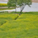 고속도로영산휴게소 이미지