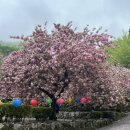 모현동-52 이미지