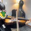 바이올린(야간) 이미지