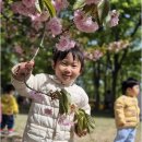 미래몬테소리어린이집 네이버블로그