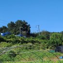 물레방아 휴게소 한식 뷔페 이미지