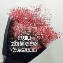 3/17(화) 오늘의 생활팁(실내 청소팁) / 복(福)이란 / 50년 경력 흉부외과 심장 전문의사의 솔직한 한마디!! / 이미지