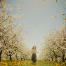 138 | &lt;후기138/ 정화의 종합세트)