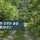 경기둘레길 양평28코스 이미지