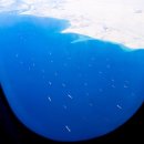 배들가축 이미지