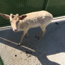 곡성-261 이미지