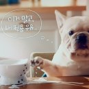 소운 이미지