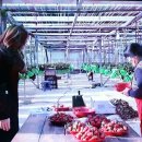 해천농장 네이버블로그