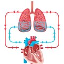 논현동물병원 이미지
