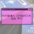 에스스타일리스트