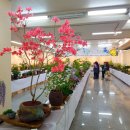 서라벌문화회관 전시실 이미지